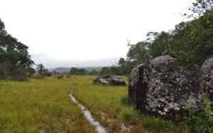 Guaviare Los Laberintos
