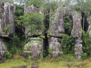 Los Laberintos San Jose del Guaviare