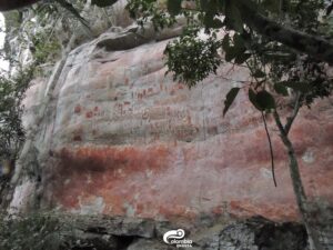 Pinturas Rupestres San José del Guaviare copia