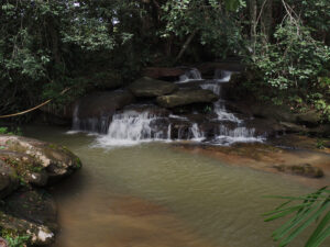 Pozo Picapiedra San José del Guaviare