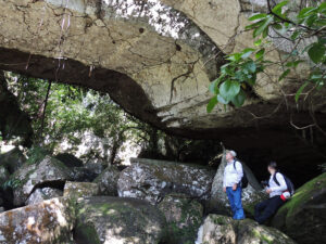 Puentes Naturales San José del Guaviare