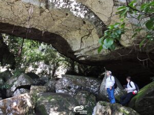 Puentes Naturales San José del Guaviare copia