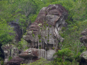 San José del Guaviare La Lindosa