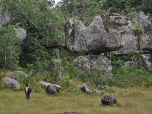 San Jose del Guaviare Los Laberintos