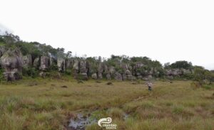 Tours San Jose del Guaviare copia