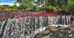 Caño Cristales desde Bogota