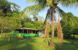 reserva madre selva 4