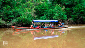 Amazonas MVE_-13