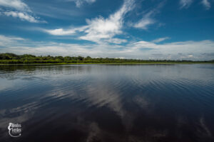 Cabañas Nainekü Lodge en San Martín de Amacayacu, rodeadas por la selva amazónica y el río Amacayacu, cerca de Leticia, Amazonas.