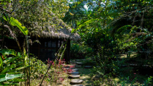 Amazonas MVE_-4