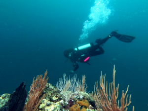 Buceo 2