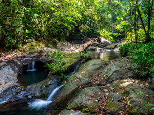Cascadas-4