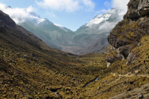 _MG_0691_test