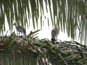 P1000483