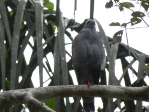 P1000502