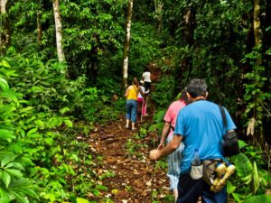 caminadas-2