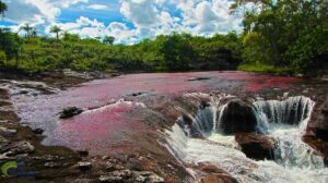 salto del aguila