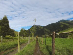 senderos-