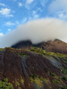 IMG_6565